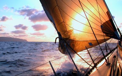 The Wind in Our Sails